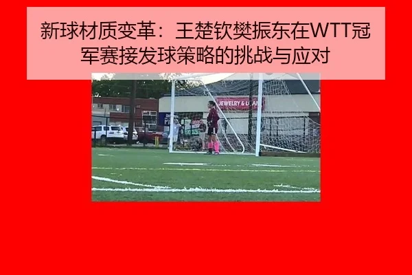 新球材质变革：王楚钦樊振东在WTT冠军赛接发球策略的挑战与应对